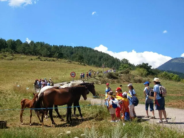 Colònies 2008, Cadí · Cortariu — foto 12